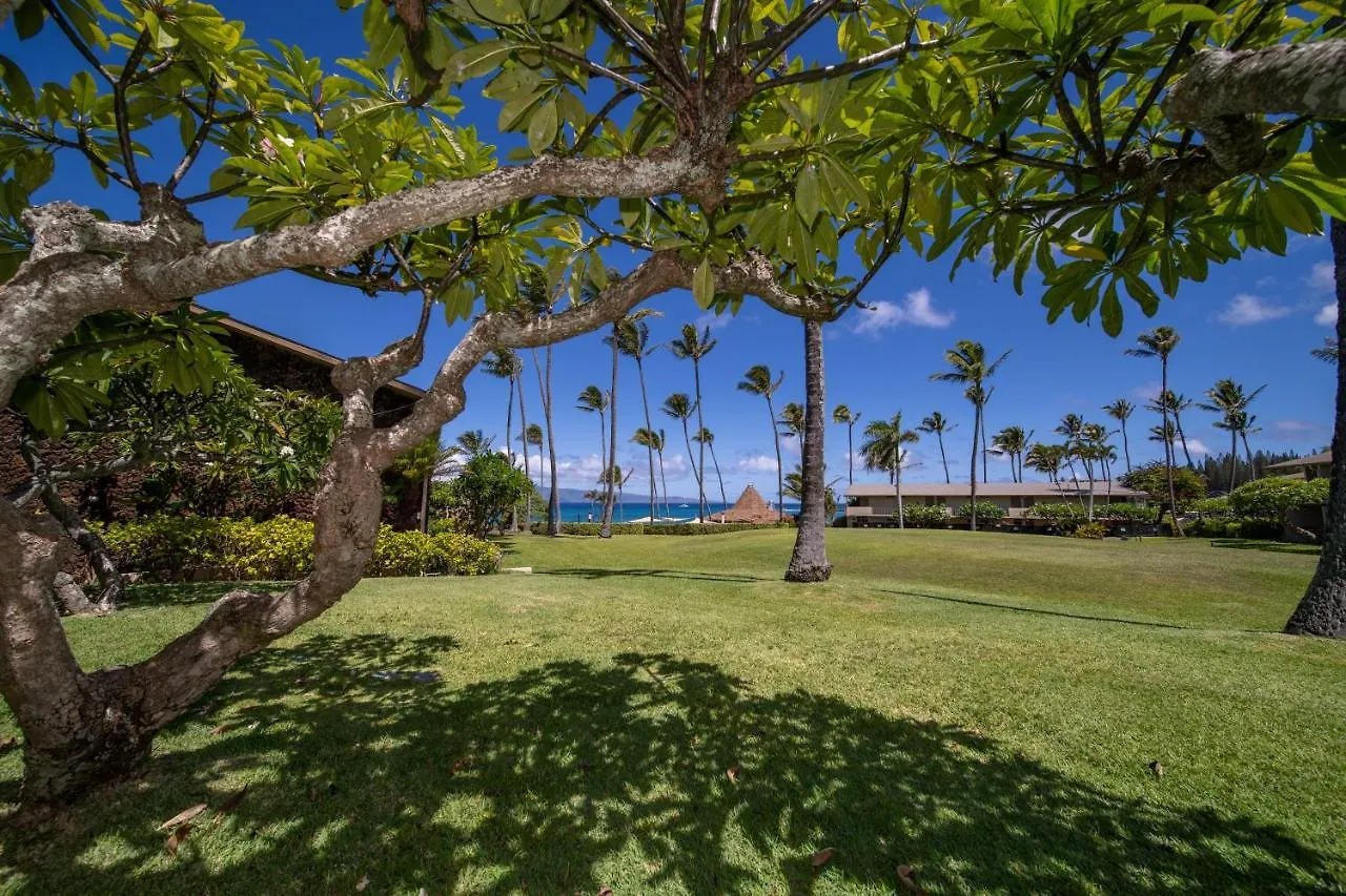 Napili Shores Maui By Outrigger - No Resort & Housekeeping Fees Lahaina Aparthotel